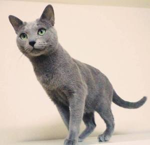 12969250_580901435408231_201951276_n