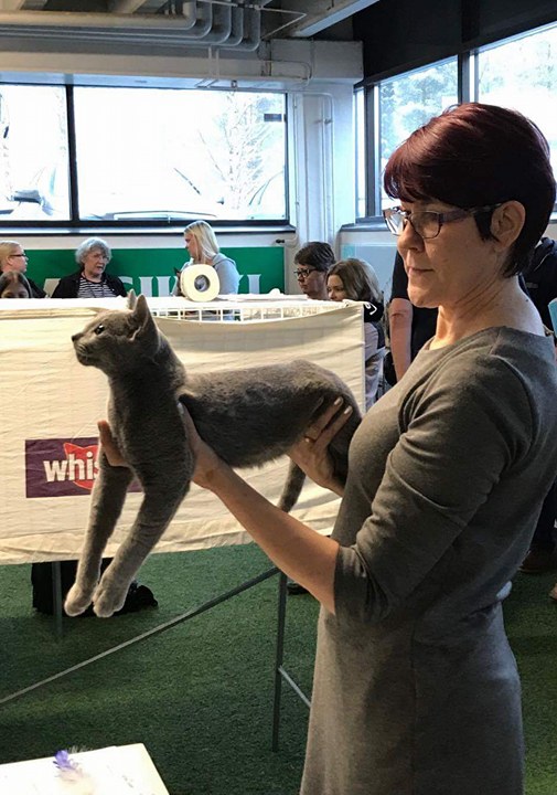 24337179_10213507916085418_1792515666_n