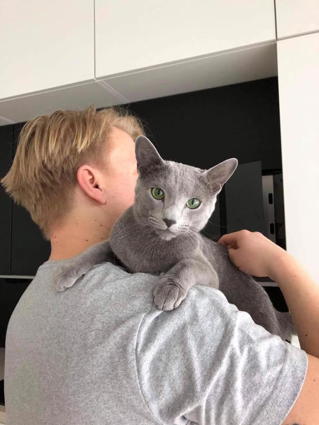 53374881_2149197418505596_5590120031343083520_n