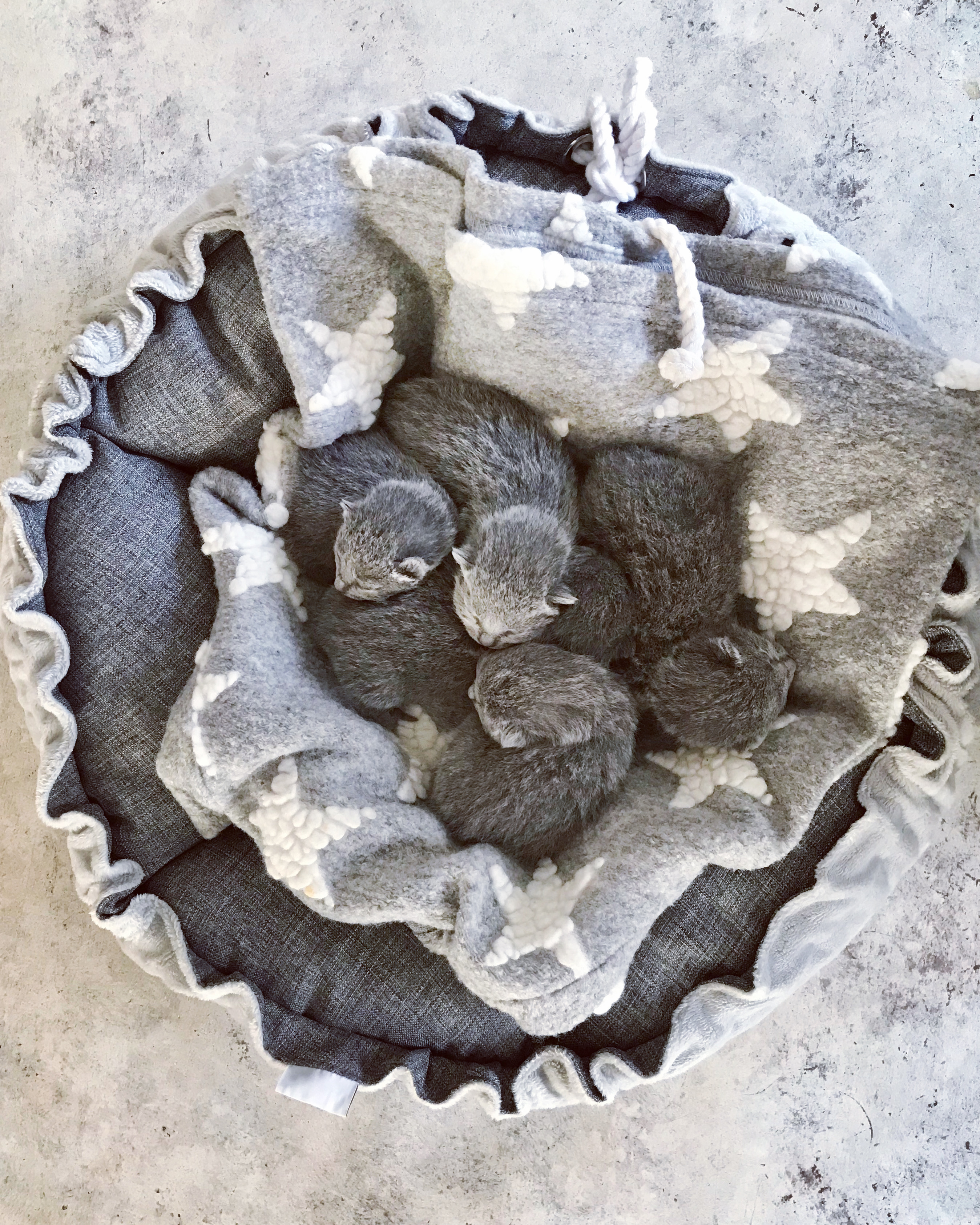 89992902-65C5-4AFE-8DF8-0B9D053AF4ED