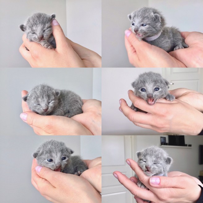 3B2983D6-F96D-42AD-8093-2C2D05EEB61B