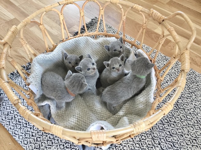 E37B09CE-A8AD-49AC-A992-85817D9B9CD1