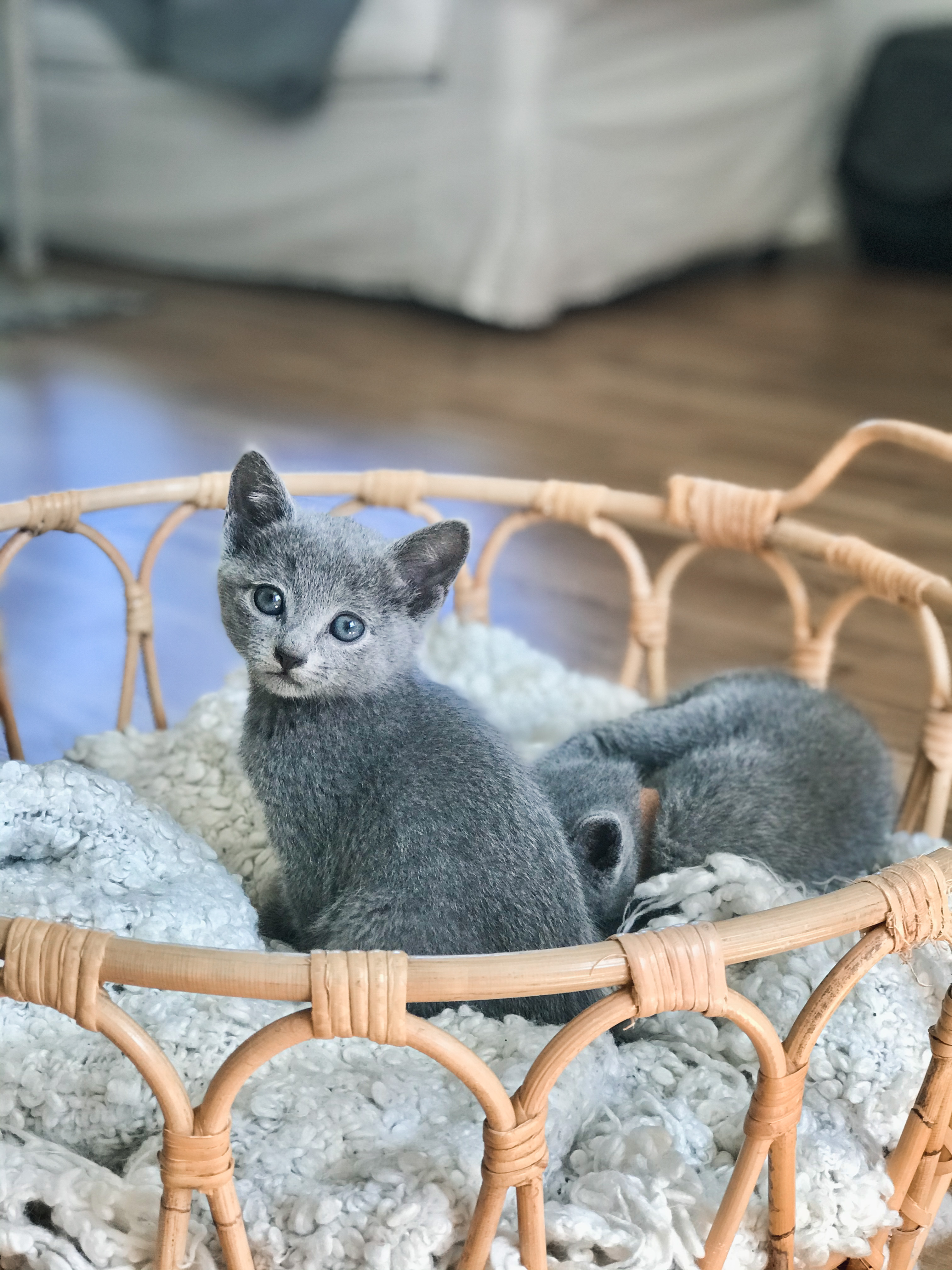 0CB423E7-20E7-430C-BB64-35BFC4E2B23B