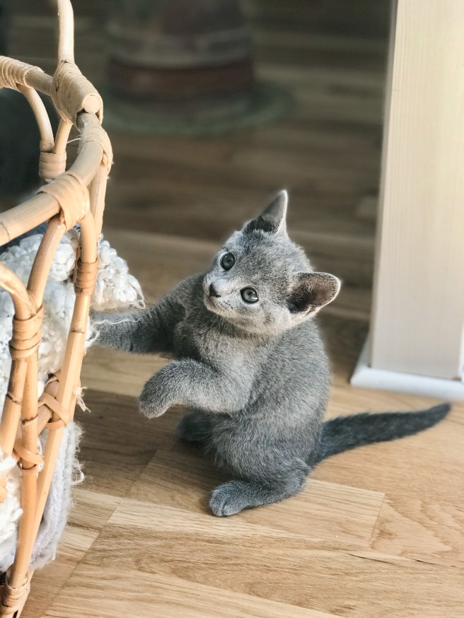 415CB6E2-6653-447D-93C0-83A570754714