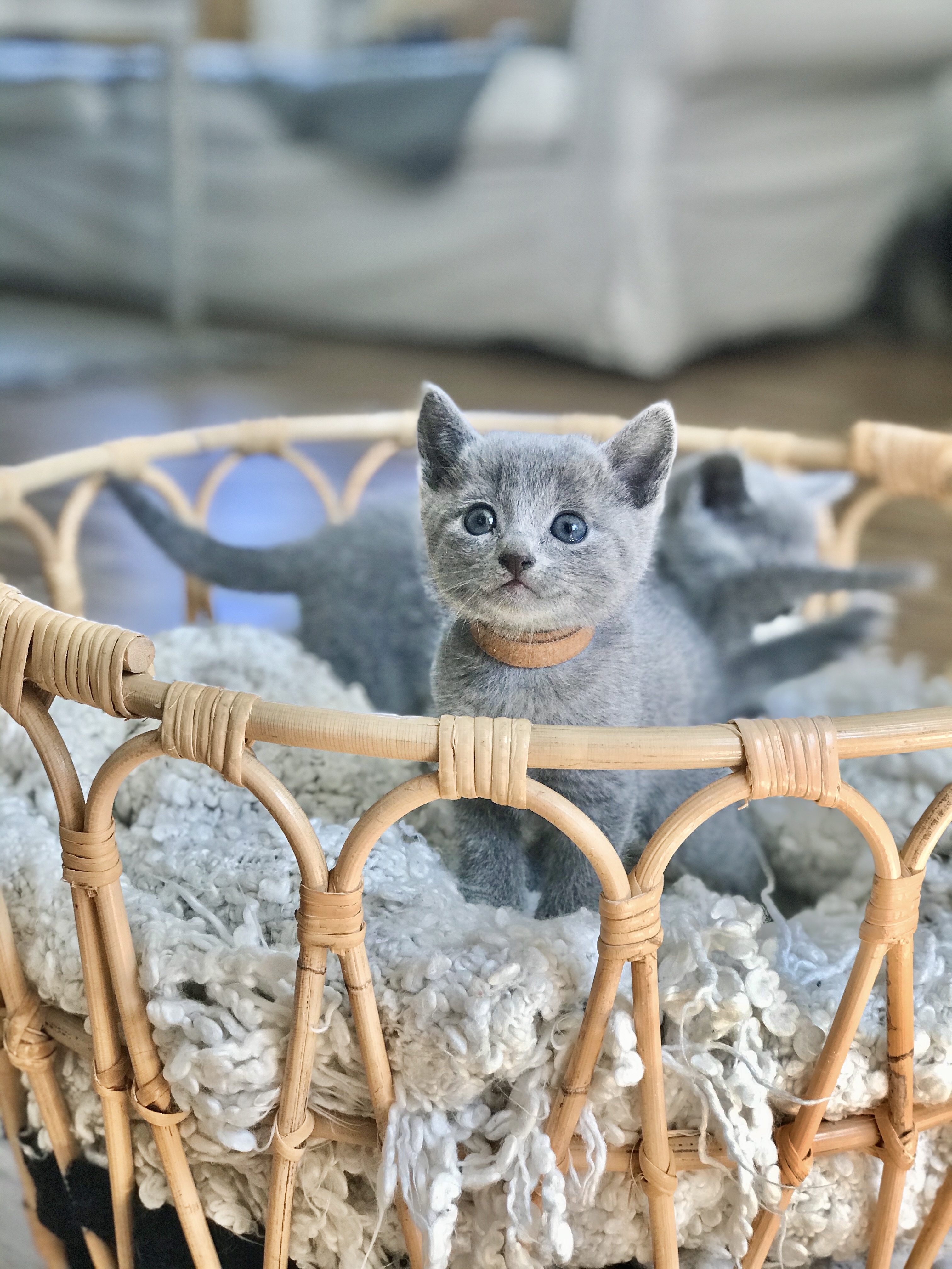 B6B729E4-A201-4EC1-8385-D61C26271F1E(1)