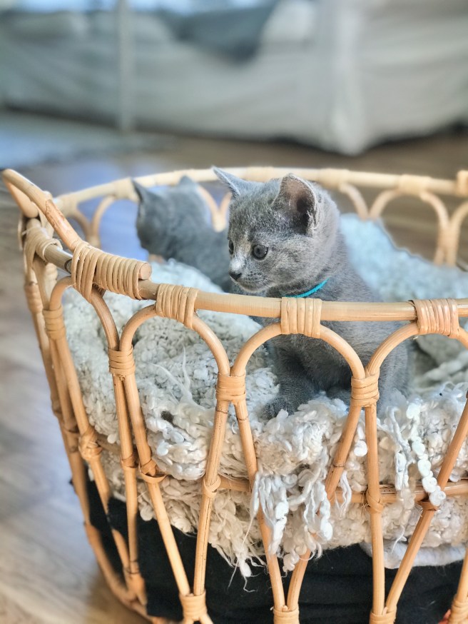 BFF1E9E2-E980-40F2-A59D-97077182A74A