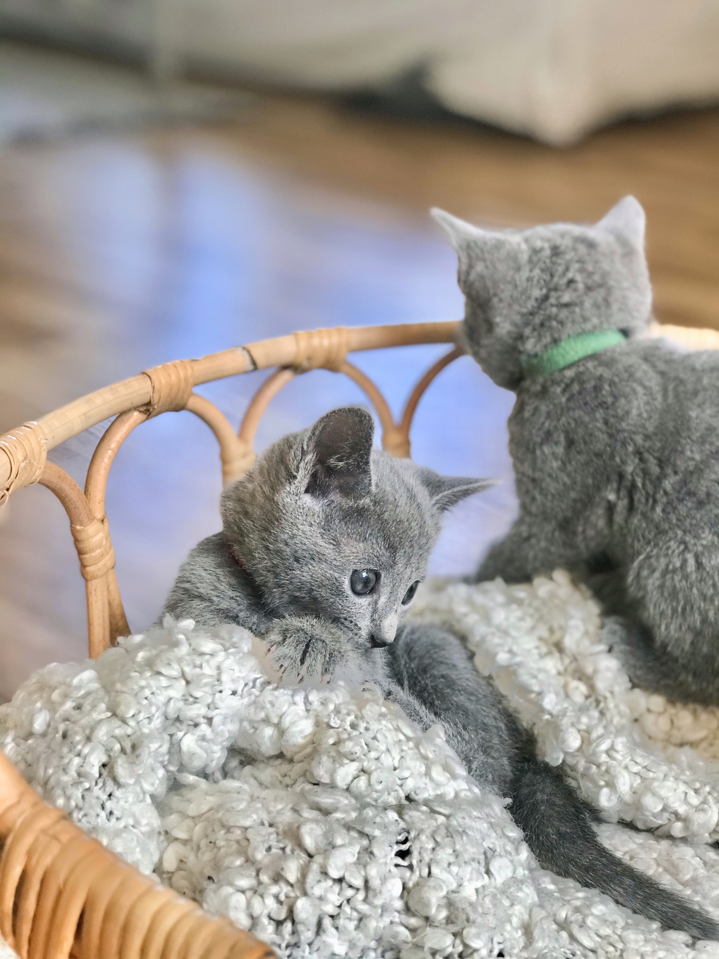 CD47DA17-6F33-4896-9678-0E1609EEE7AF