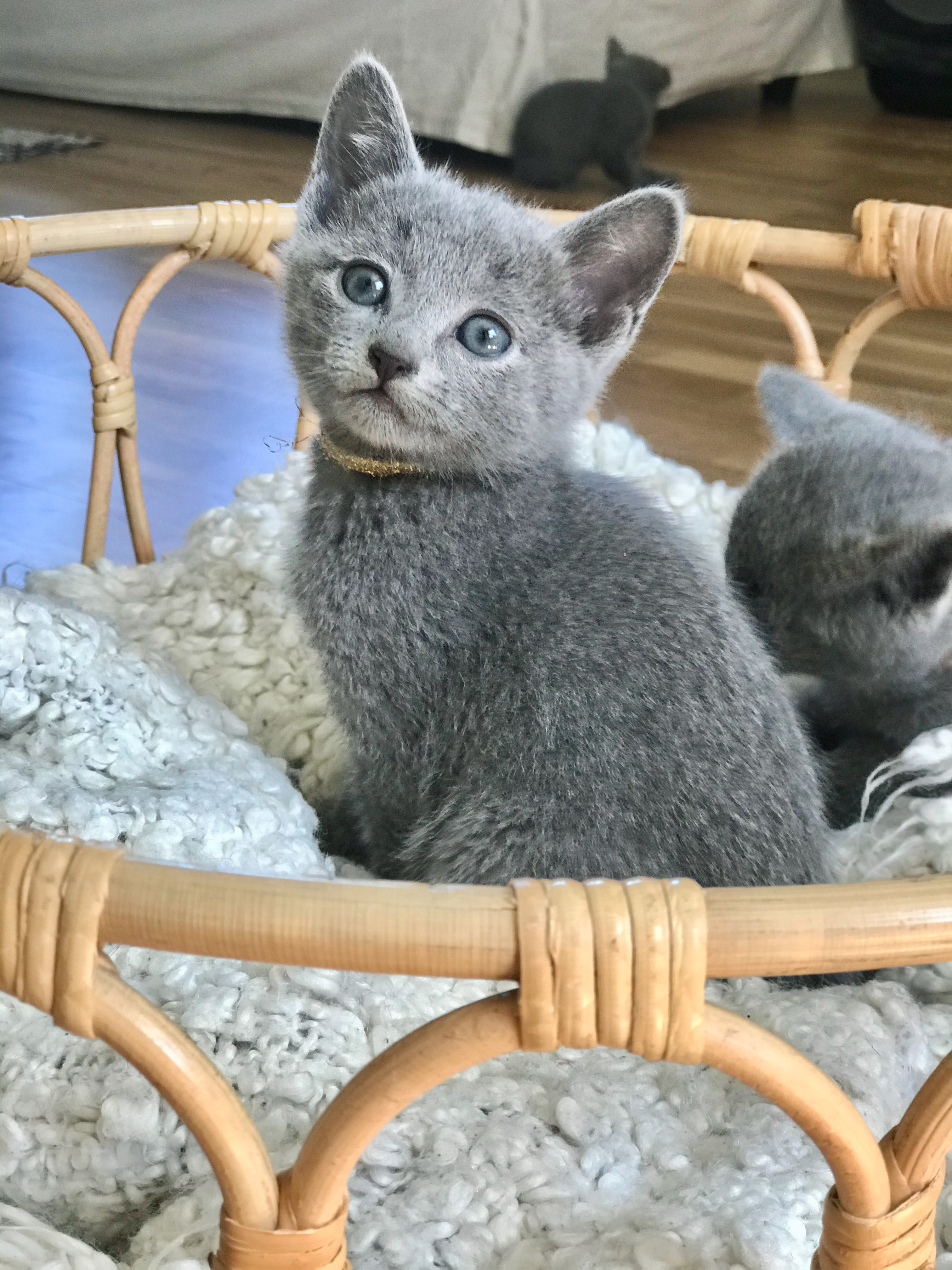 D1D17837-20C3-4633-8714-5EF43E72C6E9