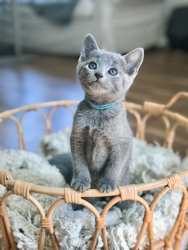 EC992DE2-2056-4314-BD56-B6A1C8E4B9C6