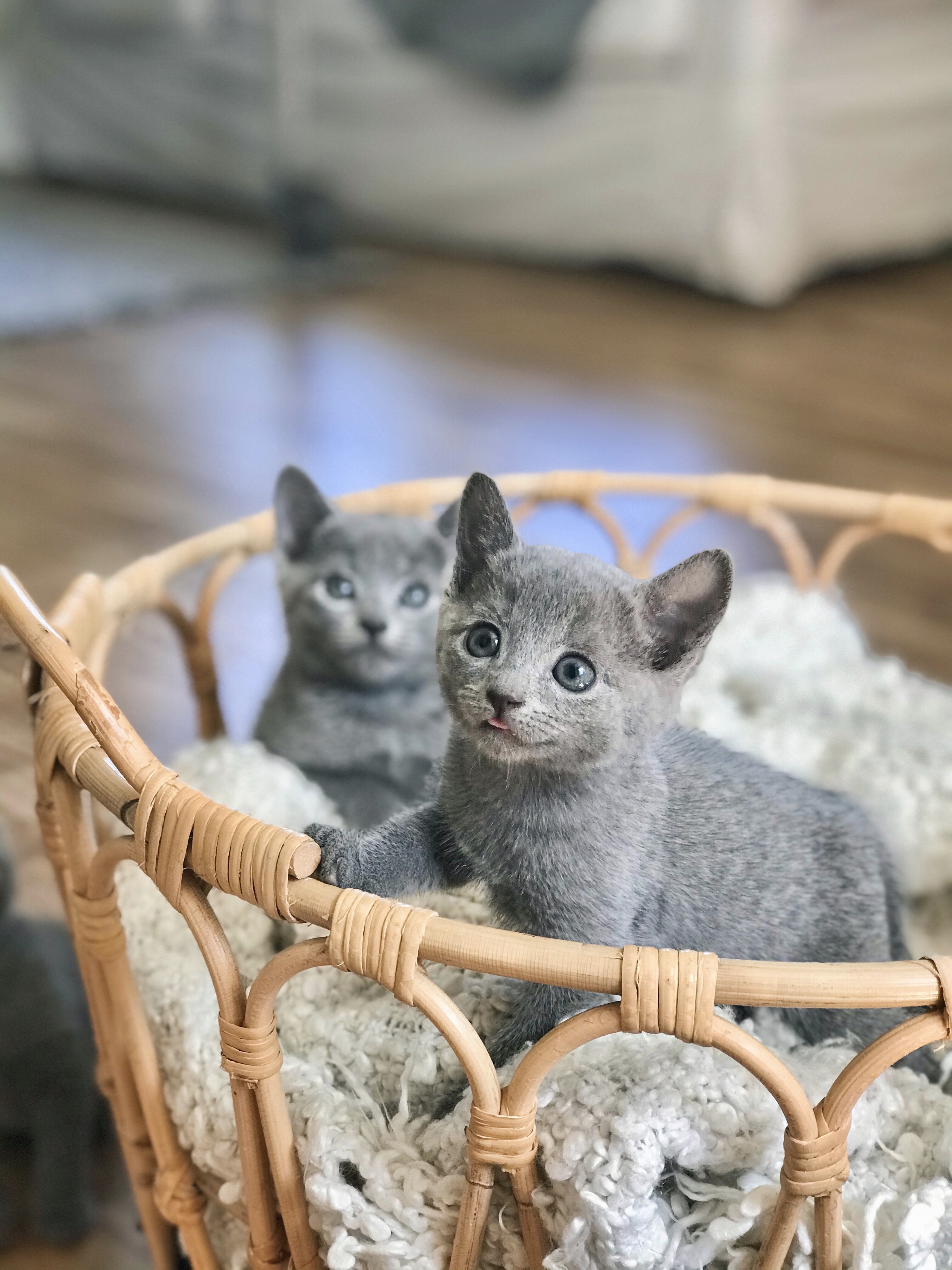 ED55DAEB-C1E2-48E2-B494-209D53CB82BB