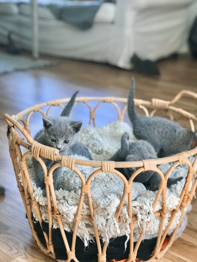 EE57F6D6-FECC-45ED-BEDB-29F7E0EE0C64