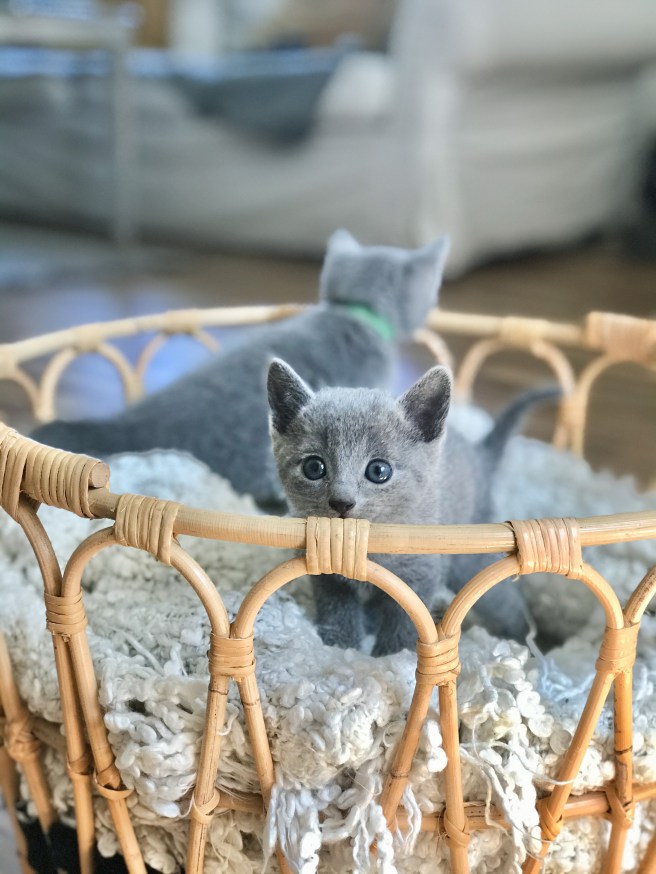 F085AC56-97D5-48FB-B361-54E9AE562387(1)