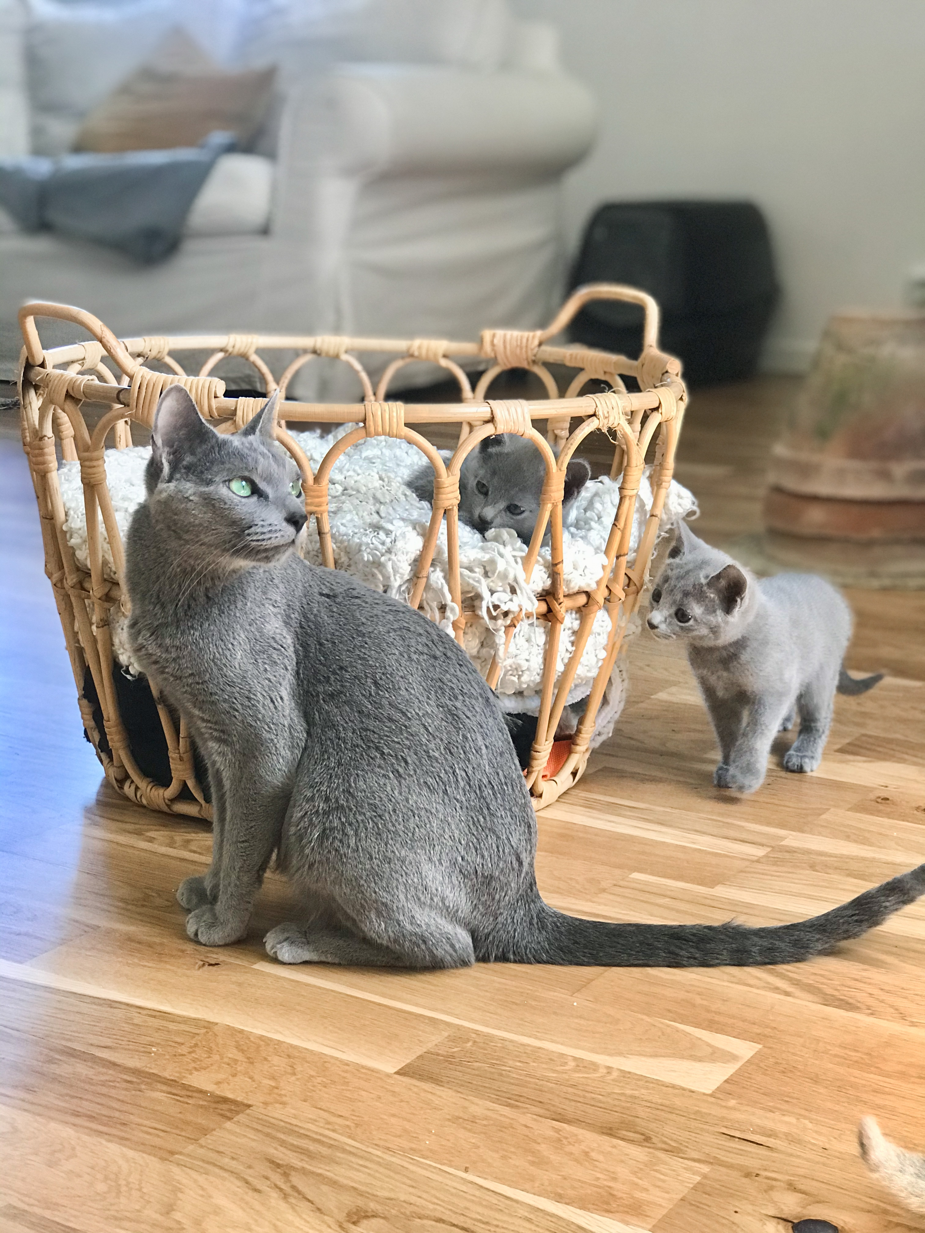 F82C8DC8-2B7F-44BA-91D5-86A27AE26205(1)