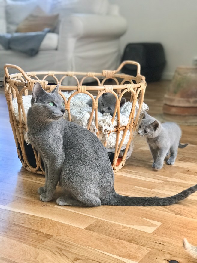 F82C8DC8-2B7F-44BA-91D5-86A27AE26205(1)